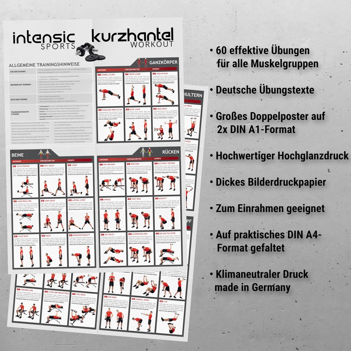 intensic SPORTS Poster d'entraînement avec haltère - 60 exercices de fitness pour l'entraînement aux haltères - Développement musculaire et sport - Motivation pour l'entraînement à la maison - Salle