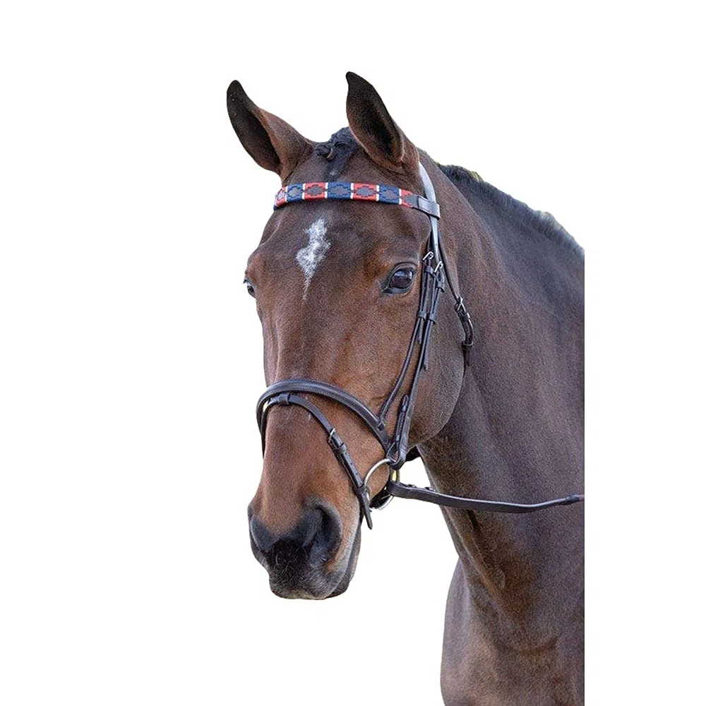 Shires Blenheim Frontal de polo en cuir Turquoise/rouge/orange/bleu