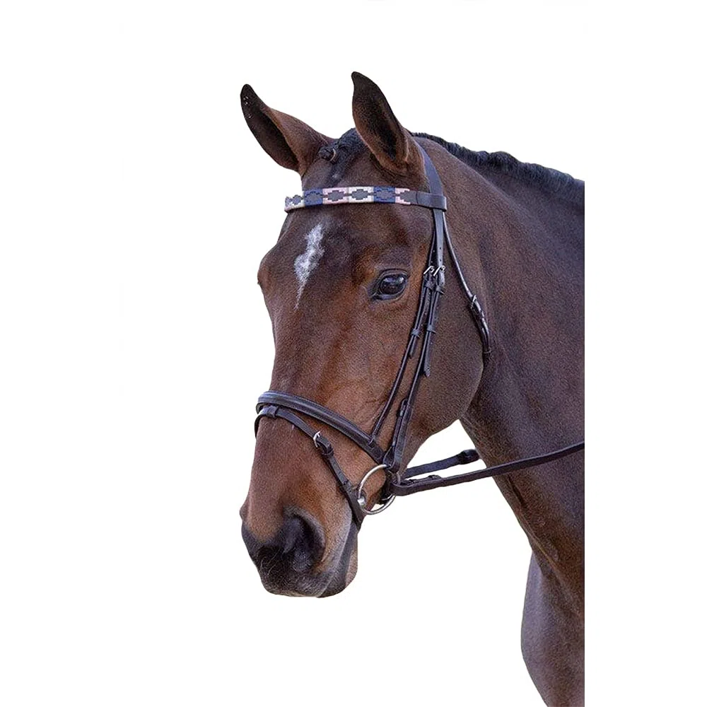 Shires Blenheim Frontal de polo en cuir Turquoise/rouge/orange/bleu