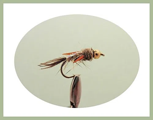 Troutflies UK Nymph Flies Assortiment de 24 nymphes tête dorée pour pêche à la truite 8 variétés 10/12