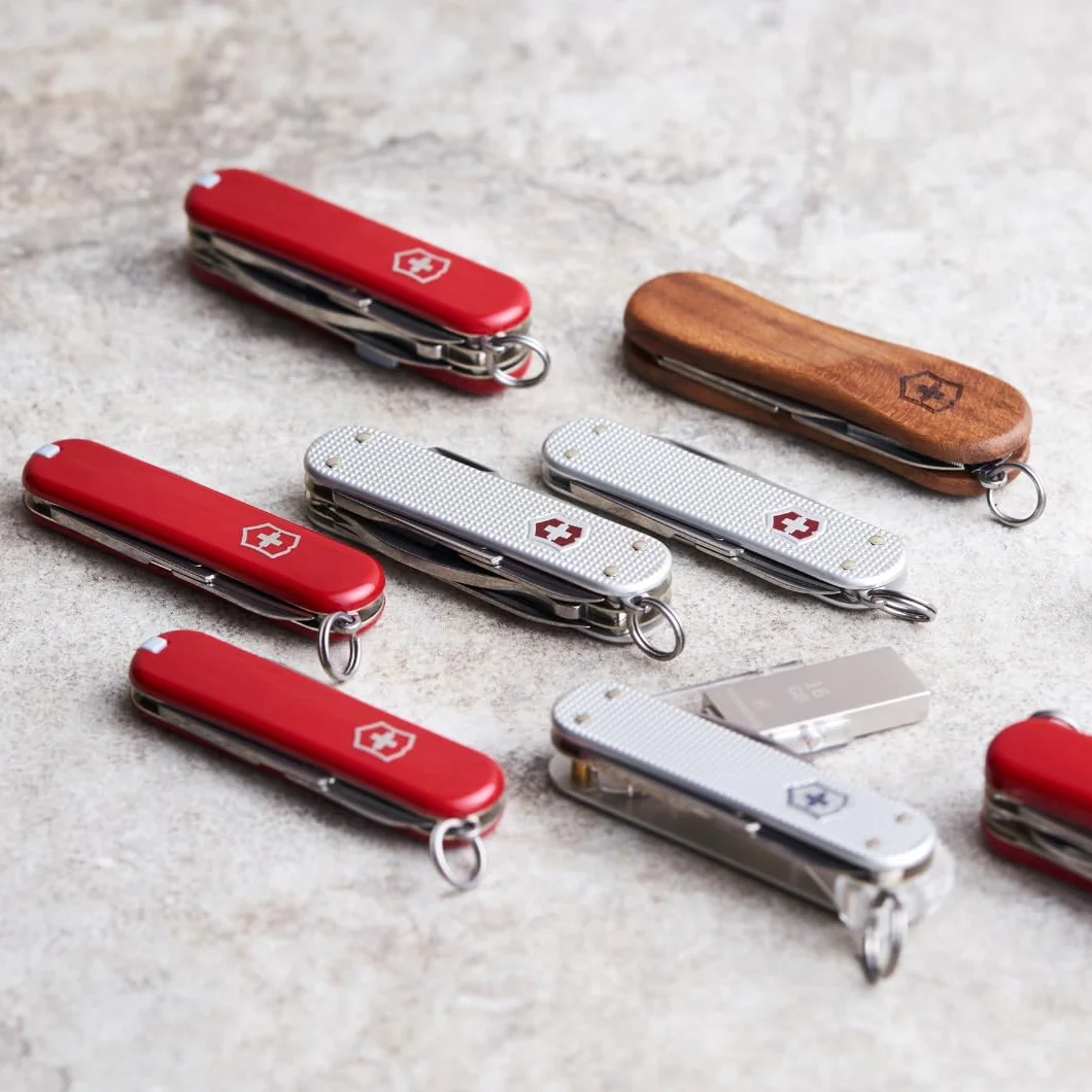 Victorinox Couteau de Poche Bantam, Petit, 5 Fonctions, Swiss Made, Outil Multifonction avec Lame, Ouvre-Boîtes, Tournevis, Argent