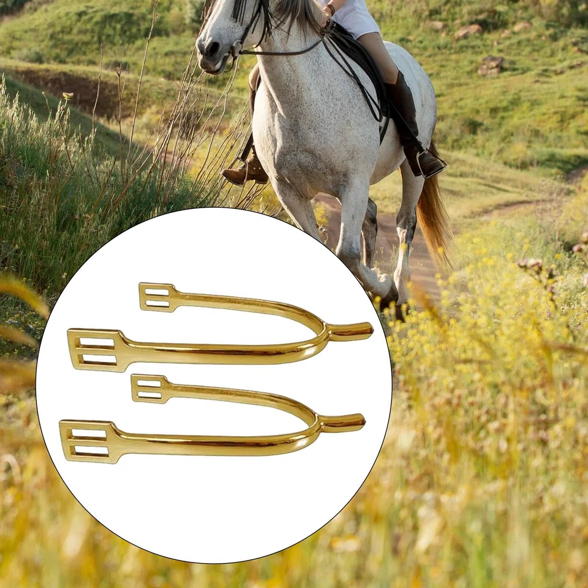perfk Lot de 2 éperons pour Cheval, Accessoires d'équitation, équipement Professionnel en Alliage de Zinc, éperons décoratifs pour Bottes de Cowboy, Or