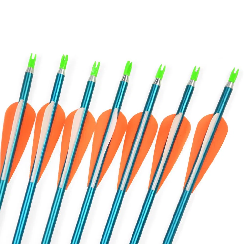 30 "flèches en Aluminium de tir à l'arc Spine 500 flèches de Chasse avec Pointes de flèche Amovibles pour Arc Classique et Arc à poulies 6 et 12 pcs