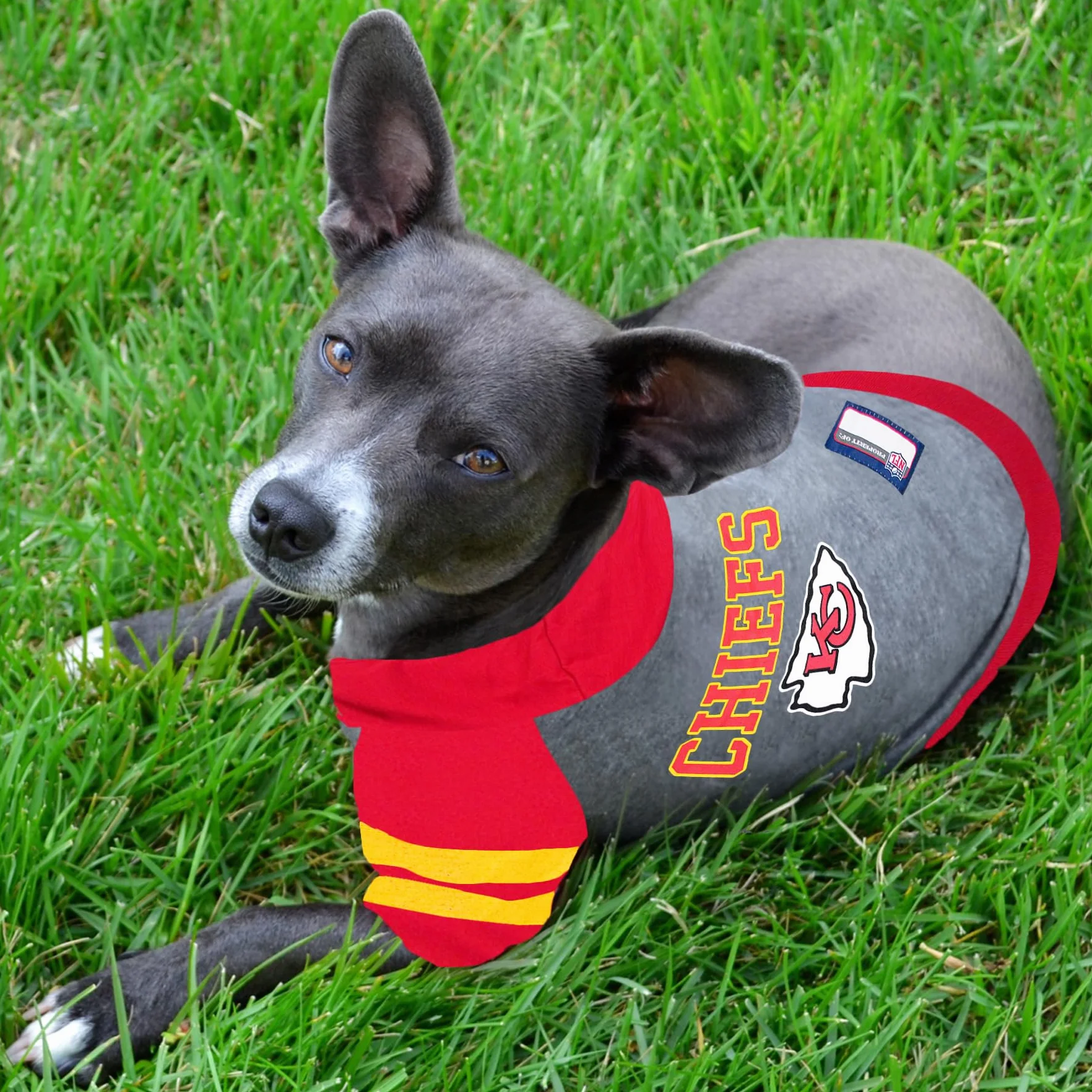 Pets première Kansas City Chiefs Sweat à Capuche T-Shirt