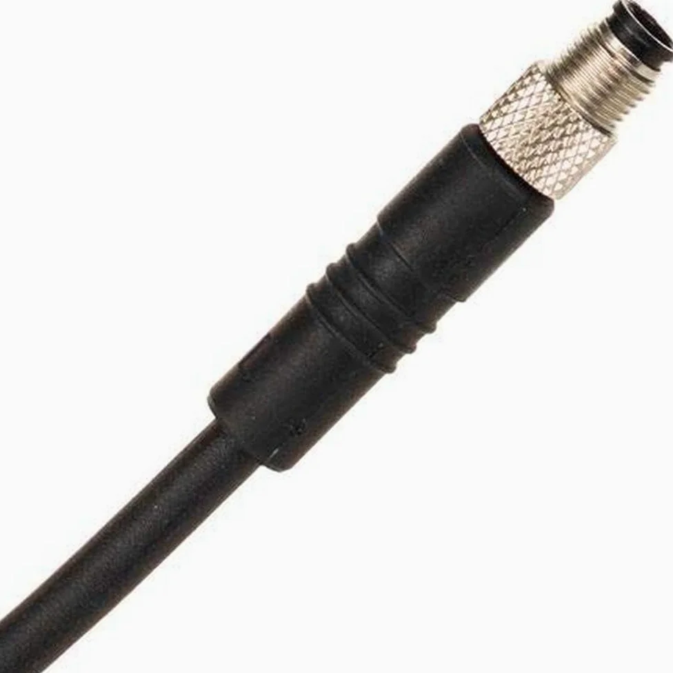 Campagnolo Ladegerät-2651410131 Chargeur Adulte Unisexe, Noir, Taille Unique