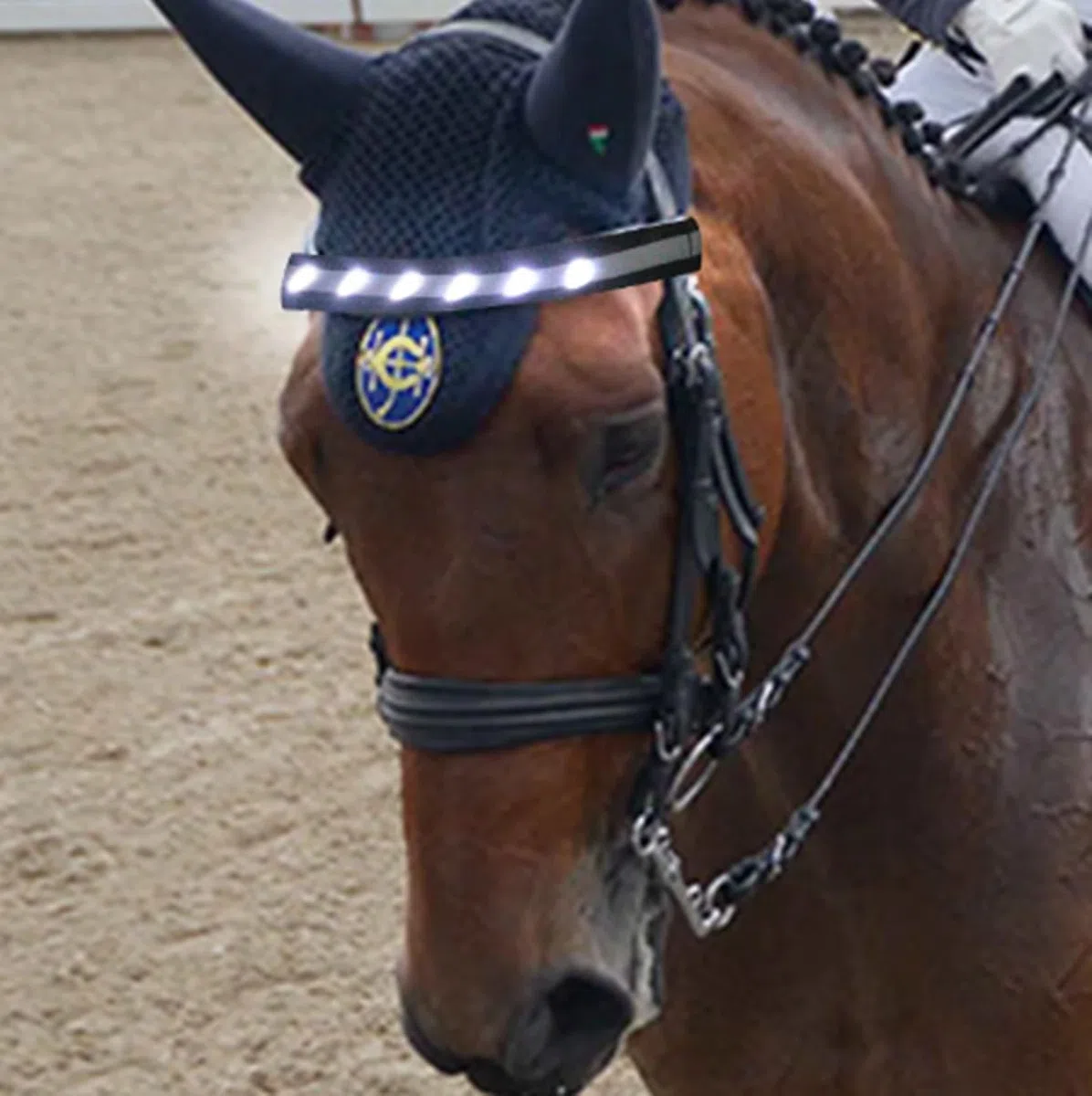 Cerceaux de tête de Cheval Collier de cuirasse de Cheval LED Bande de positionnement visuel Harnais de tête de Cheval pour l'équitation Nocturne Projet de compétition équestre