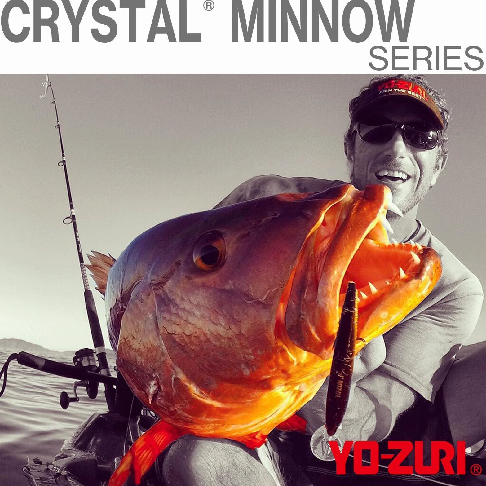 Yo-Zuri Crystal Minnow Deep Diver Leurre Flottant pour la pêche