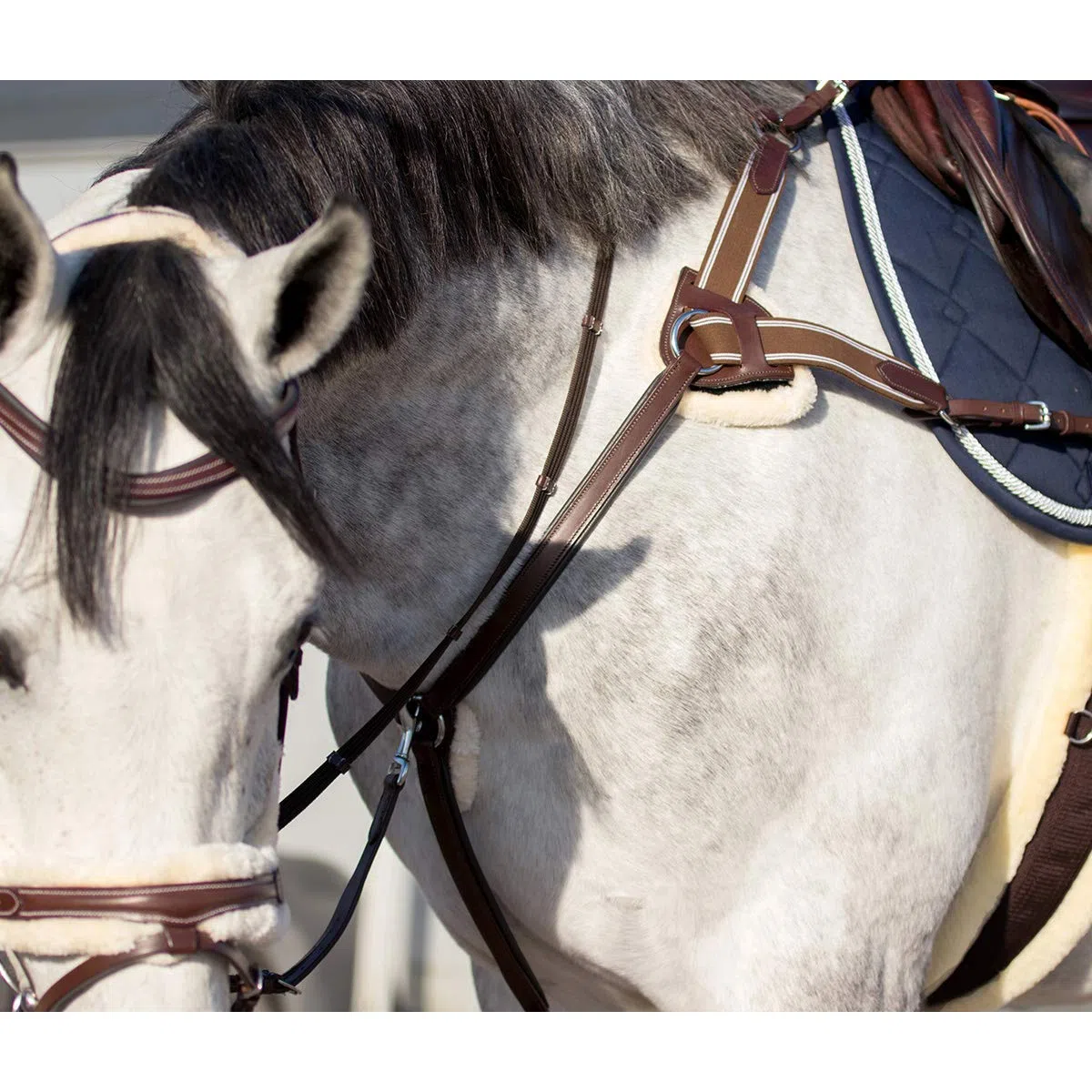 QHP Collier de Chasse Ontario - Marron - Cheval