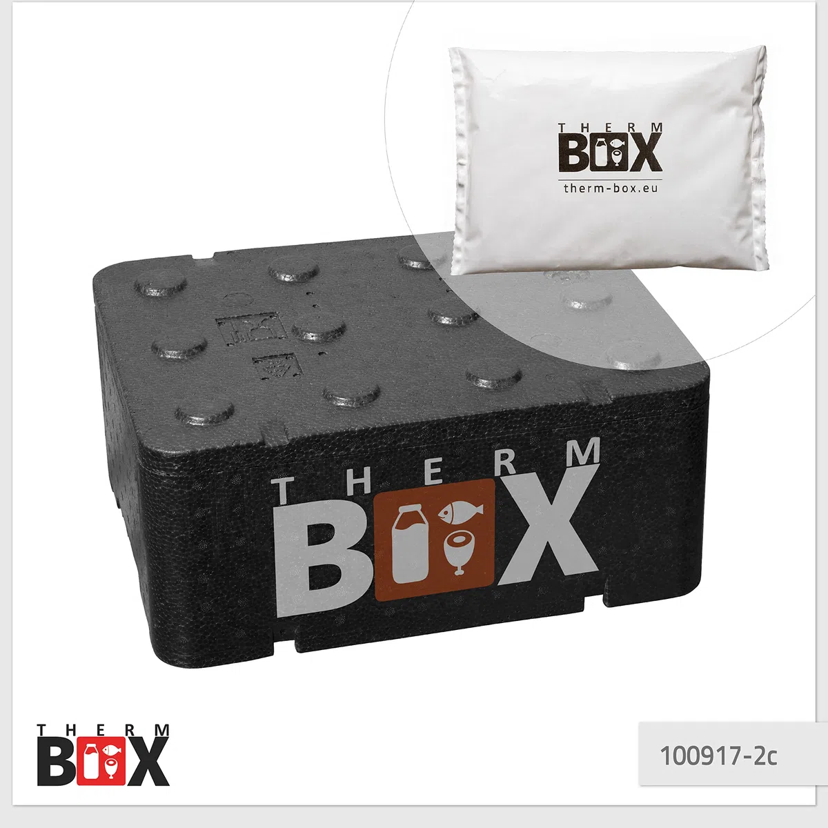 THERM BOX Grande boîte en polystyrène professionnelle avec bloc réfrigérant pour glacière, boîte de transport, récipient isotherme réutilisable
