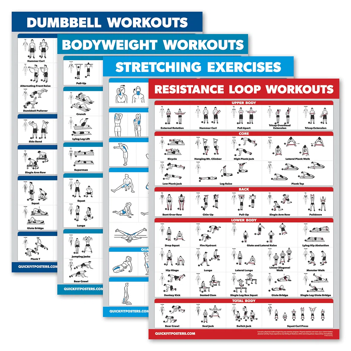 Palace Learning Lot de 4 tableaux d'entraînement avec haltères + exercices d'étirement + boucles de résistance (45,7 x 61 cm, laminé)