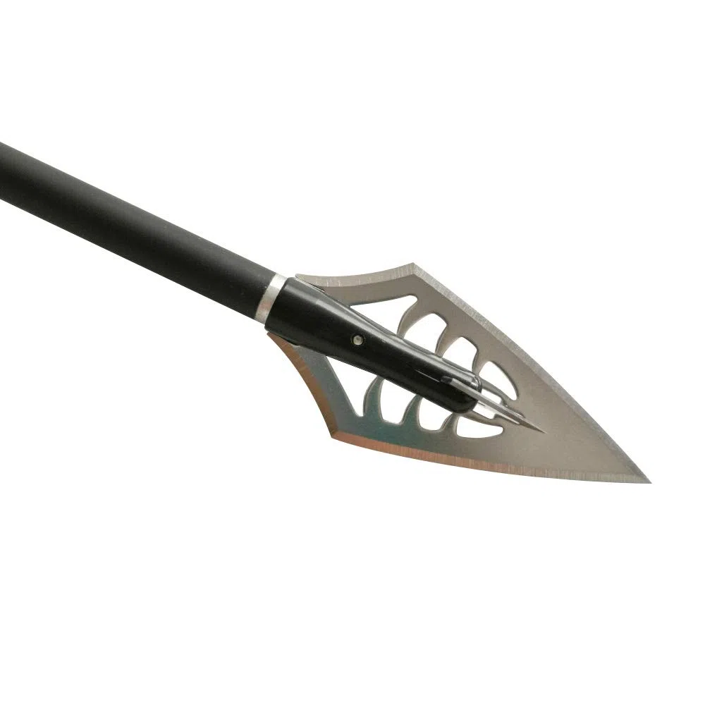 6pcs Tir à l'arc Têtes de Flèche 160 Grain Pointes de Flèche 2 Lames 144 Grain Points de Chasse Broadheads pour Arbalète et Flèches de Carbone