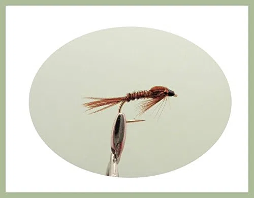 Lot de 40 mouches nymphes à la truite, 8 variantes, tailles mixtes pour pêche à la mouche NBX30