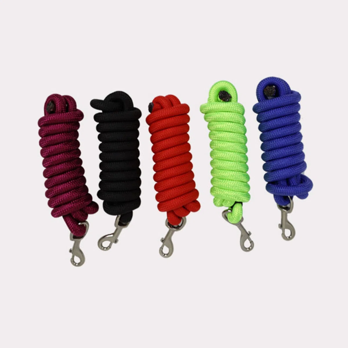 Longe en Nylon Robuste, Licol, Boucle à Une Main, Convient pour L'entraînement et Les Compétitions équestres.
