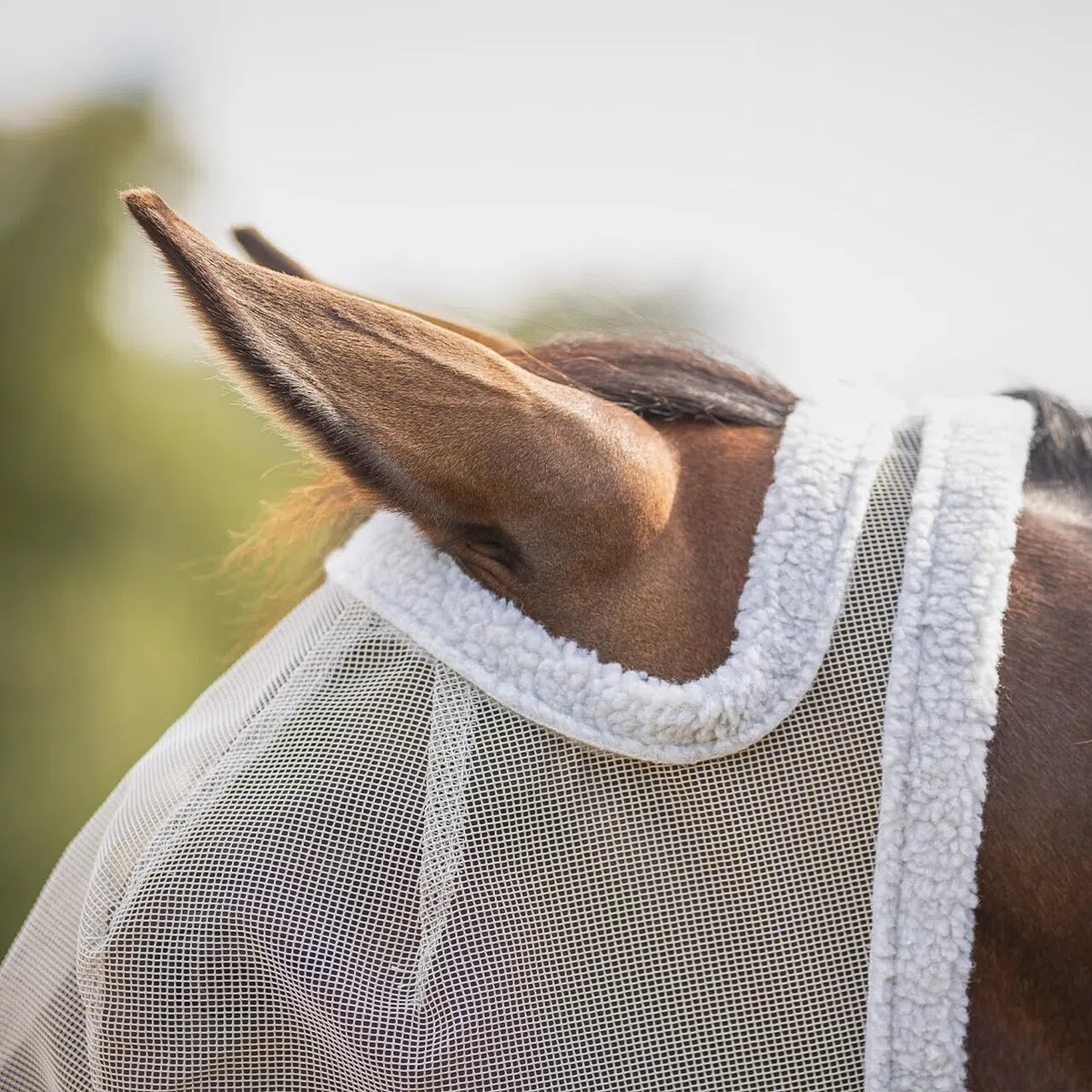 QHP Without Ear Protection Fly Mask Extra Full Size Grey