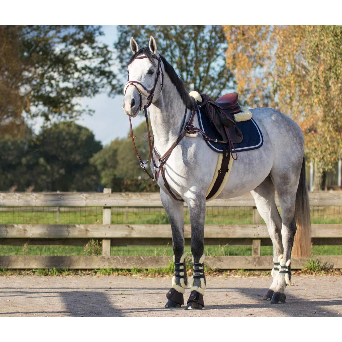 QHP Collier de Chasse Ontario - Marron - Cheval