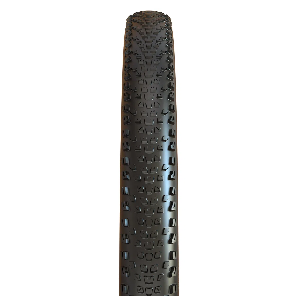 Maxxis Pneu REKON Race - 29x2.25 - TR. Rigide, Noir