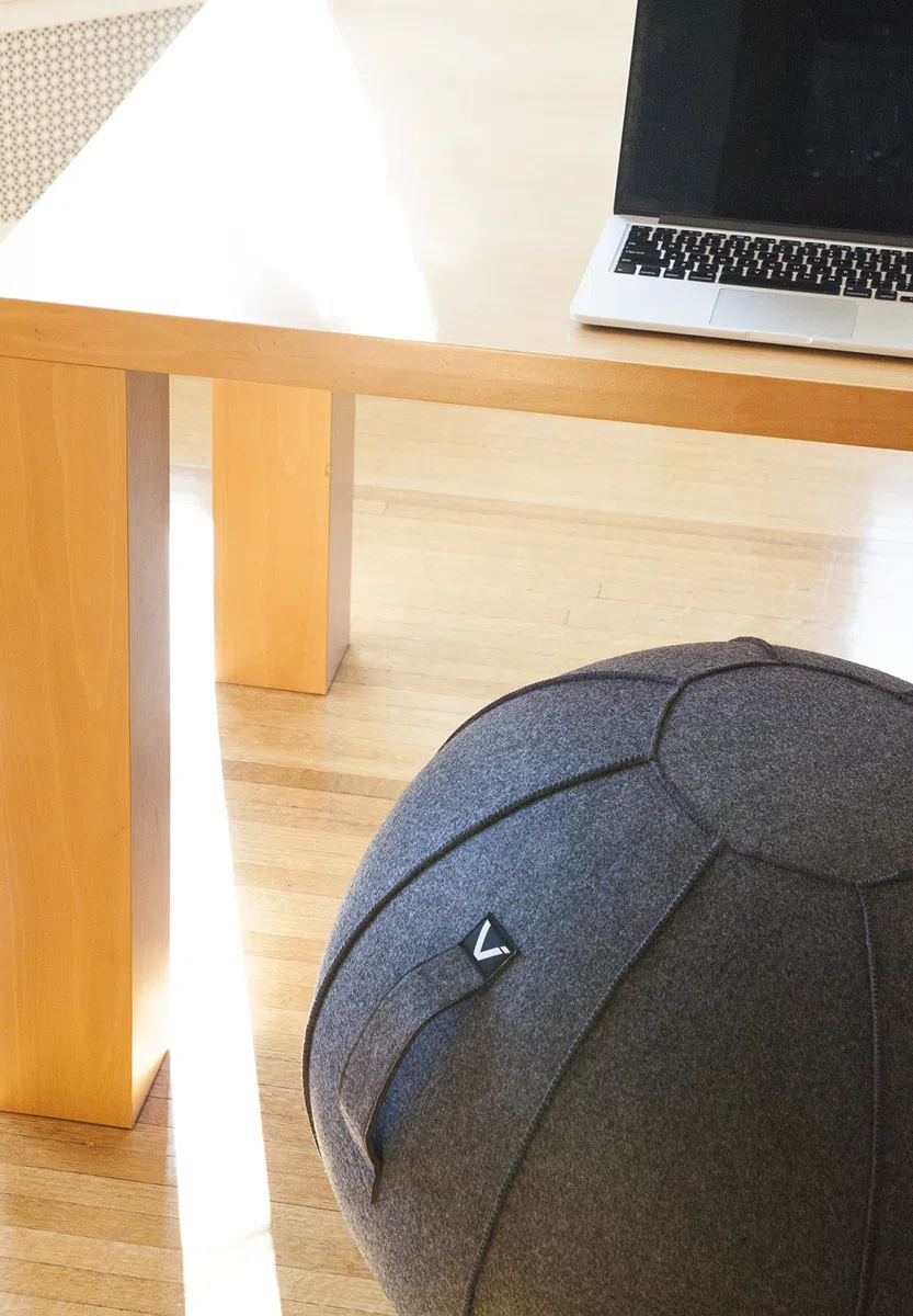 Vivora Luno Fauteuil d'exercice en Feutre Taille Standard (55,9 à 61 cm) pour Bureau à Domicile, entraînement d'équilibre, Ballon de Yoga