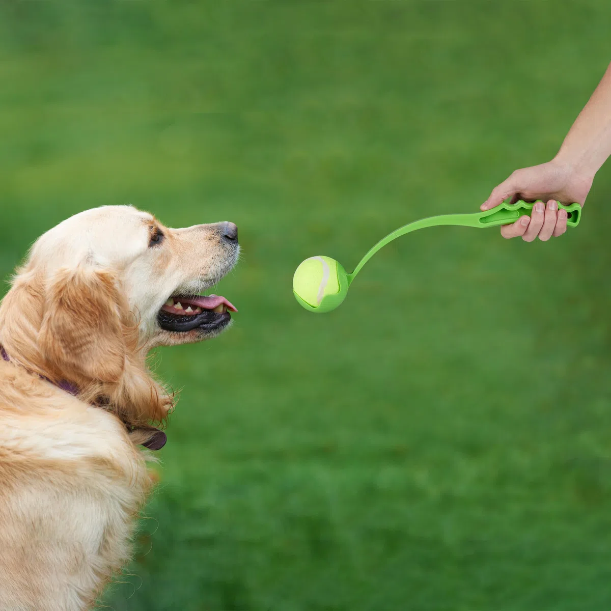 Relaxdays Lanceur en Lot de 4, 8 balles à Lancer pour Votre Chien, Jouet Amusant et Stimulant, Multicolore