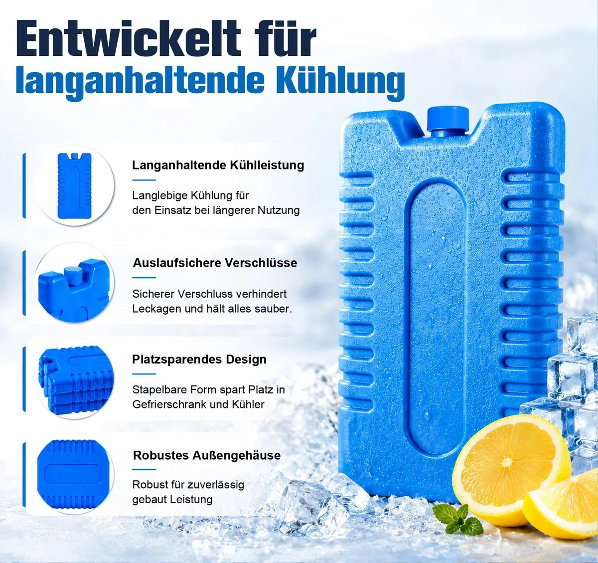 Homewit Big Packs de Glace - Éléments de Refroidissement pour glacière et Sac Isotherme - Accumulateurs de Froid pour la Maison et Les Loisirs