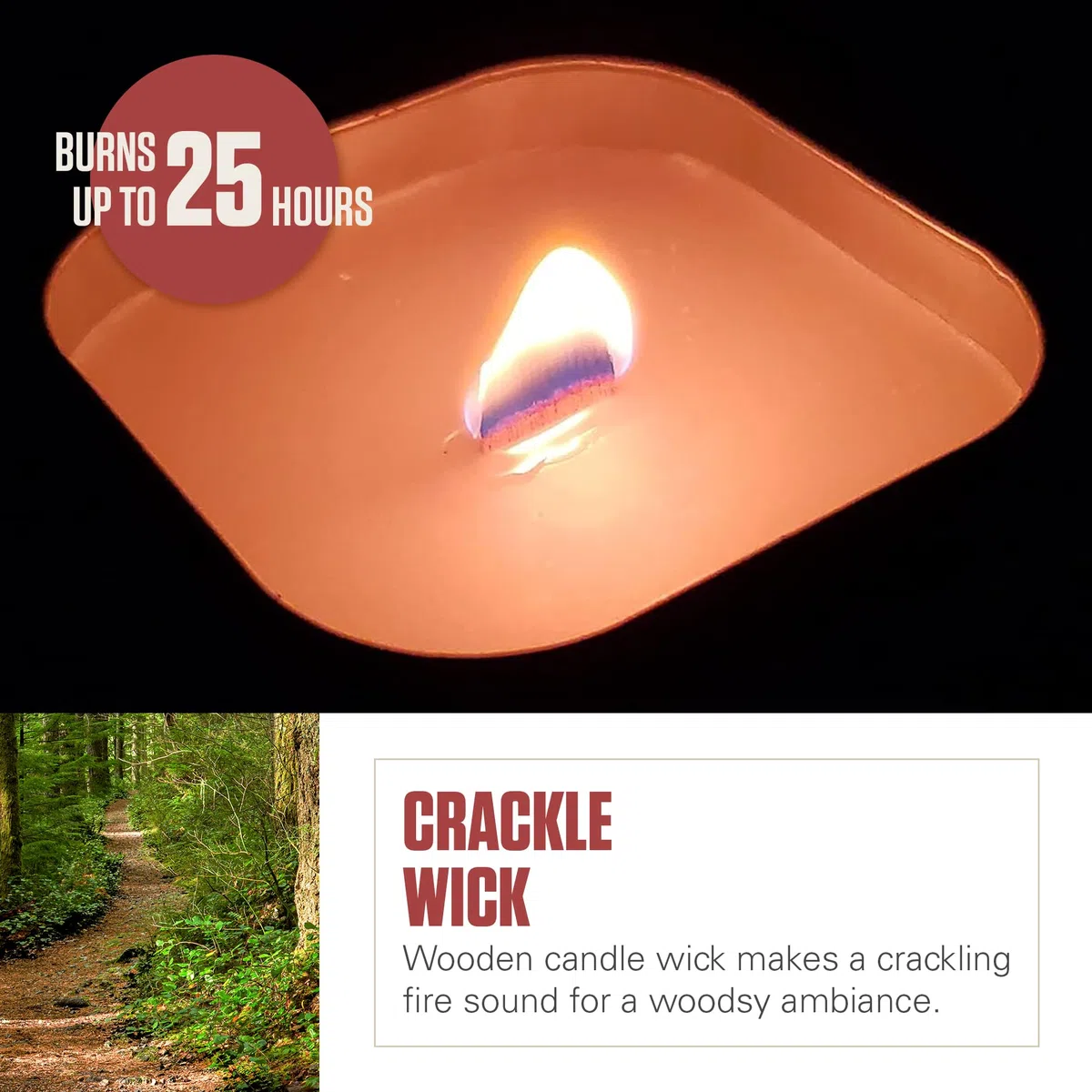 Coleman Lot de 6 bougies parfumées d'extérieur à la citronnelle avec mèche craquelée en bois, parfum feu de camp, 170 g