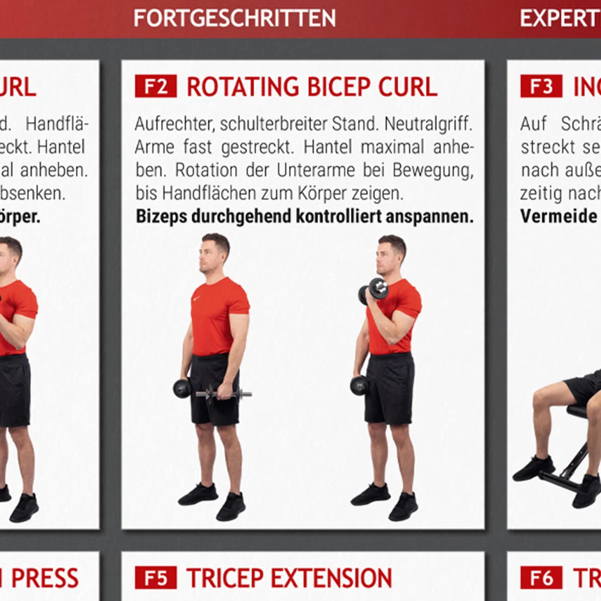intensic SPORTS Poster d'entraînement avec haltère - 60 exercices de fitness pour l'entraînement aux haltères - Développement musculaire et sport - Motivation pour l'entraînement à la maison - Salle