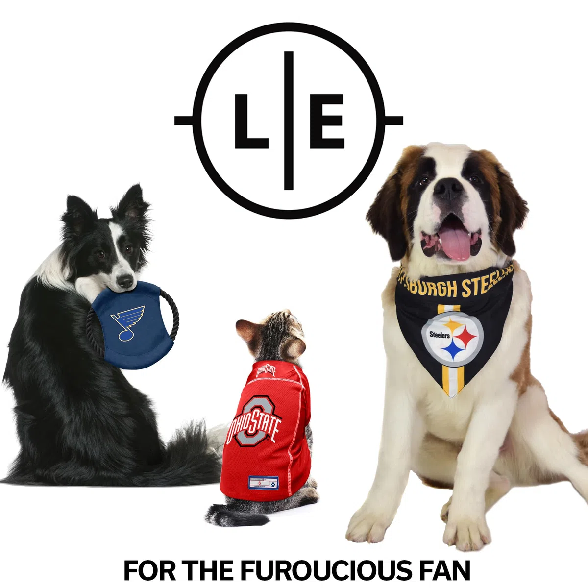 Littlearth Maillot Basique NFL pour Animal de Compagnie