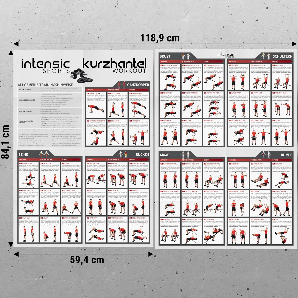 intensic SPORTS Poster d'entraînement avec haltère - 60 exercices de fitness pour l'entraînement aux haltères - Développement musculaire et sport - Motivation pour l'entraînement à la maison - Salle