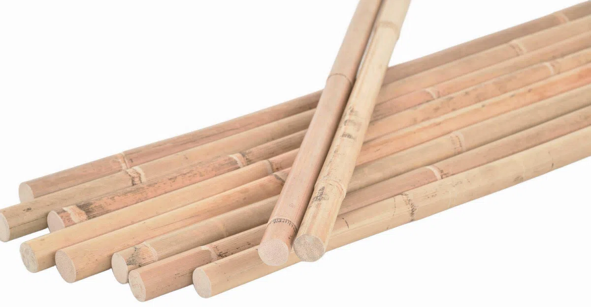 Manau Lot de bâtons en rotin non pelés - Bâtons d'exercice, Arnis pour arts martiaux - Diamètre : environ 22 mm - Longueur : 68 cm