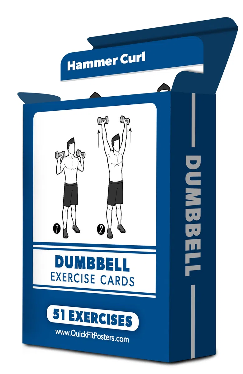 Palace Learning Lot de 2 cartes d'entraînement pour poids corporel et haltères – Plus de 100 exercices