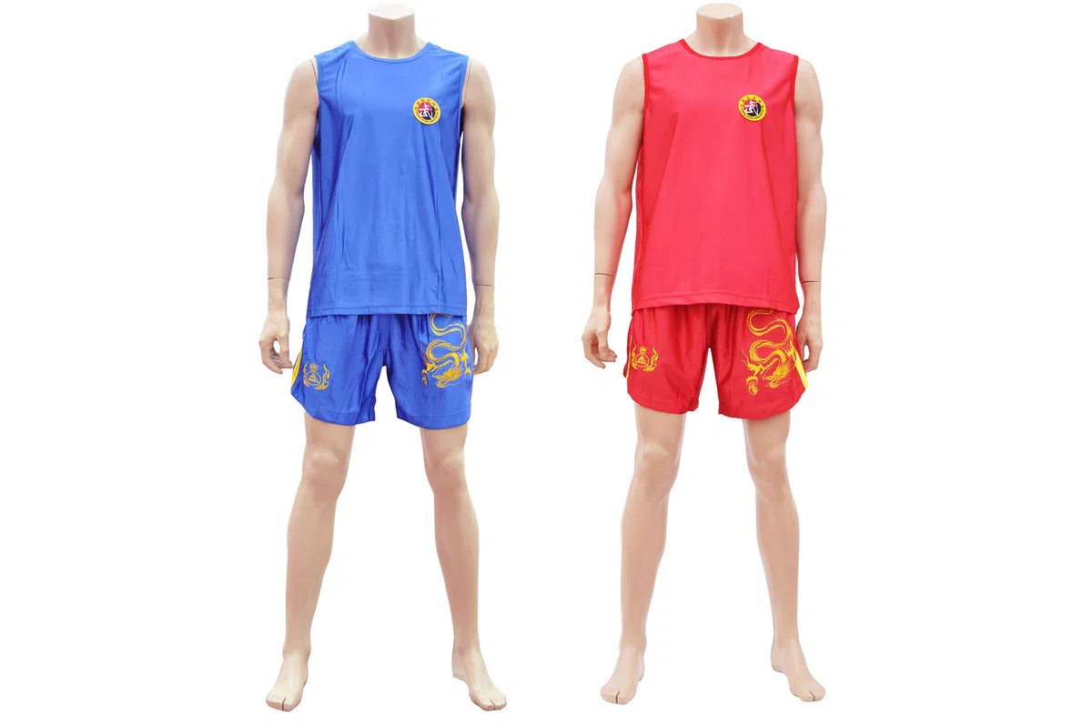 ShenLong - Tenue Boxe Chinoise Sanda «Dragon», Club - Bleu, S