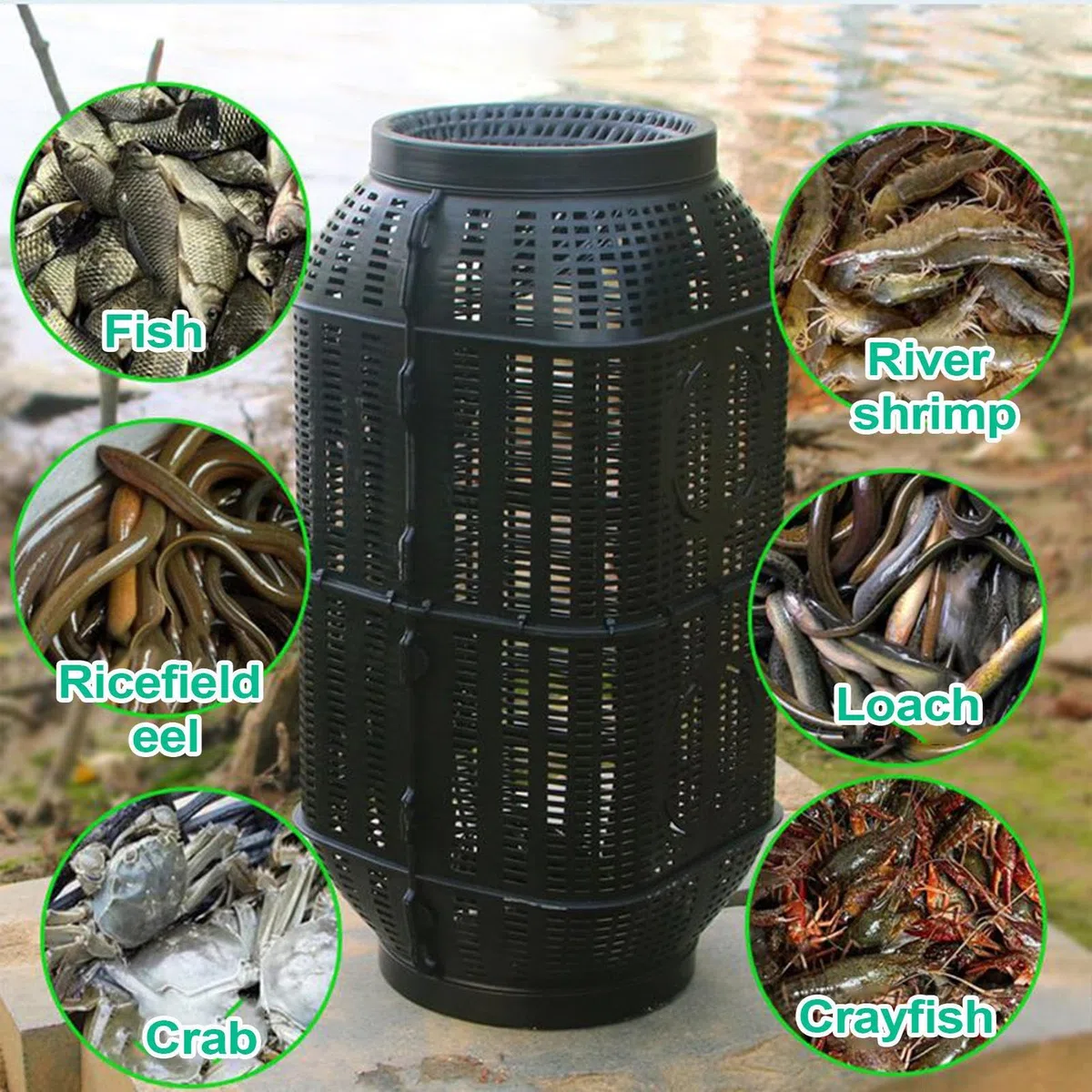Nasse A Poisson, Nasse A Ecrevisses Piège De Poisson, Nasses À Écrevisses Avec Trous, Portables Cage À Anguilles Filets Cage À Crabes Pour Crevettes Écrevissess Homards Anguilles Eau Douce Salée