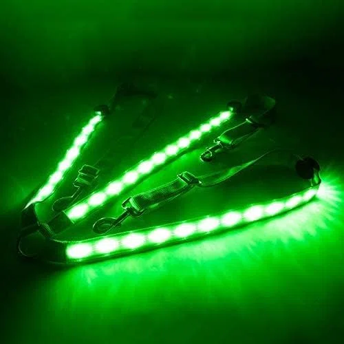 Collier LED pour cheval - Collier réglable - Harnais pour chevaux - Équipement de sécurité équestre robuste et confortable - Vert