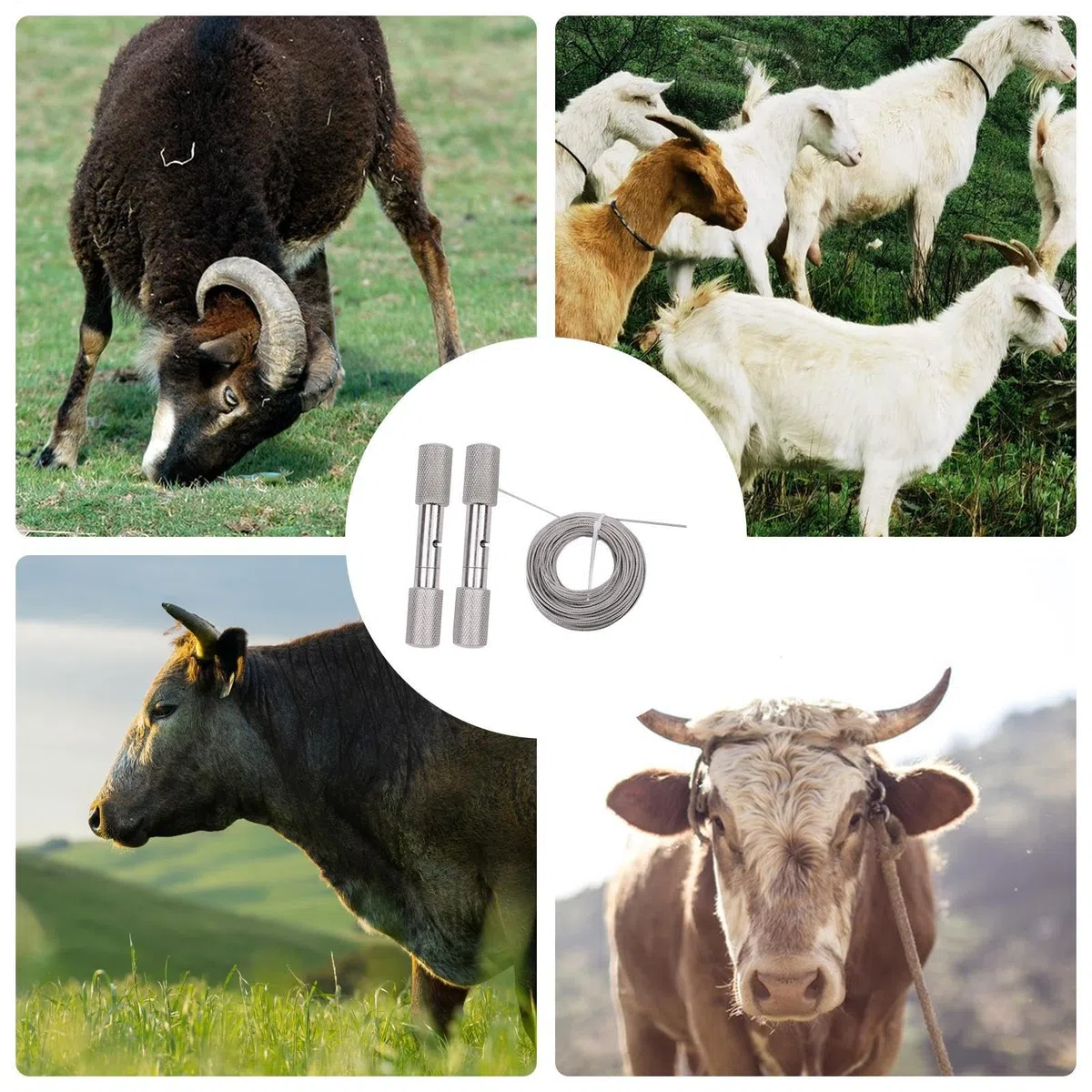 Scie à fil en corne de mouton - Scie à fil - Scie à cordes manuelle avec poignées pour couper la corne de chèvre - Scie à fil de coupe en corne de bétail - Pour les randonnées dans la cour, les
